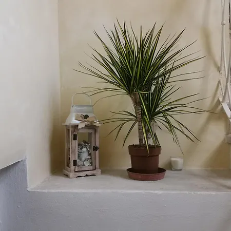 Urban *